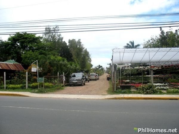 1 HECTARE CALAMBA LOT along the Road! Great for Commercial establisment/Townhouses!