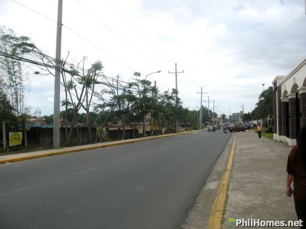 1 HECTARE CALAMBA LOT along the Road! Great for Commercial establisment/Townhouses!