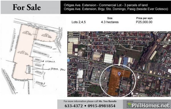 4.3 Hectares in Ortigas Ave Extension-Commercial Lot For Sale