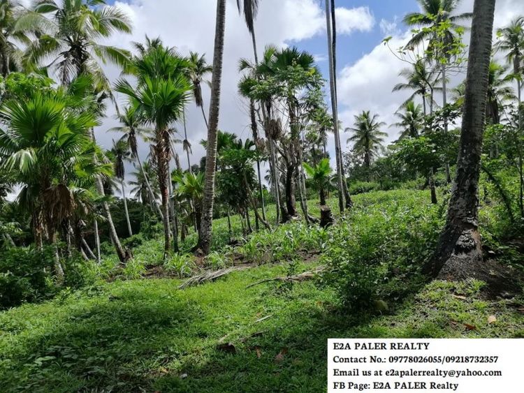 5.7hectares Agri lot for Sale