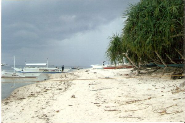 BEACH PROPERTY in Panglao, Bohol FOR SALE OR LEASE
