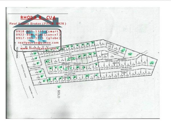 Beachview Sanal lots for only P2,500/sqm