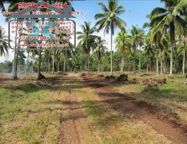 500sqm Samal Lot for only P350,000.00- discounts apply