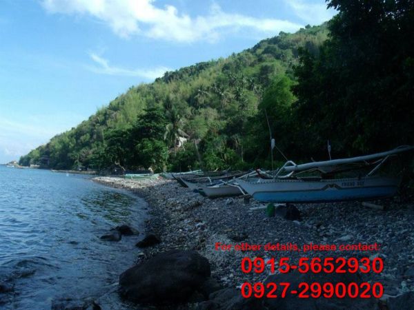 Beach Island in Batangas ideal for resort and diving site