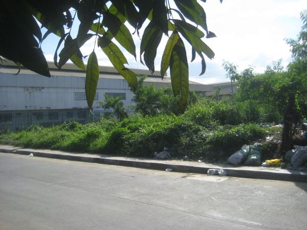 Commercial Lot along Felix Avenue, near malls