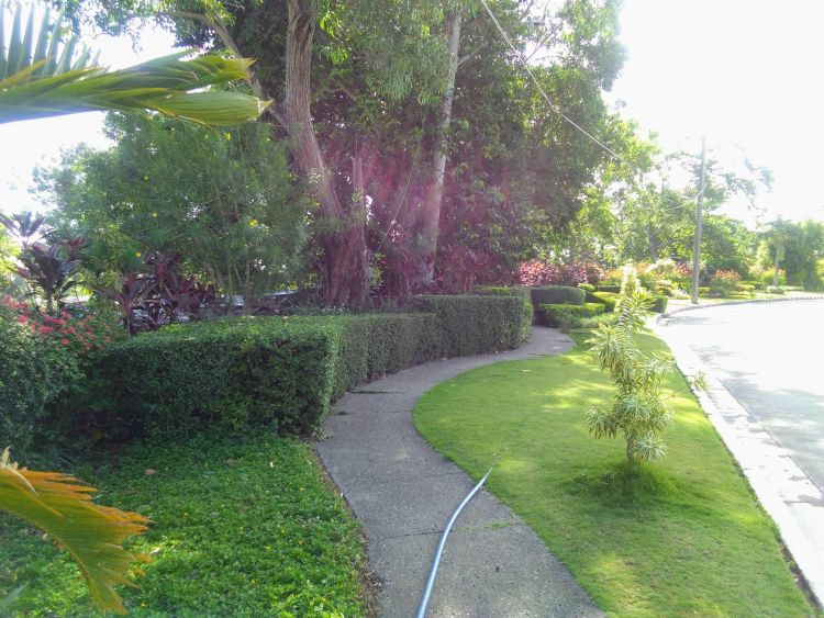 Lot for Sale 300 Sqm Dasmarinas Cavite The Orchard
