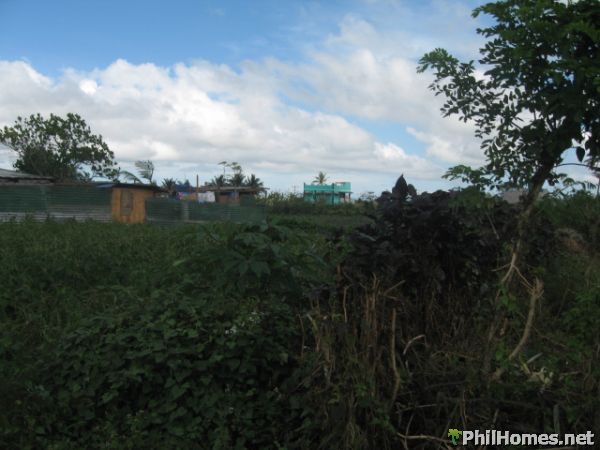 1,500/sqm Lot TAGAYTAY-silang road