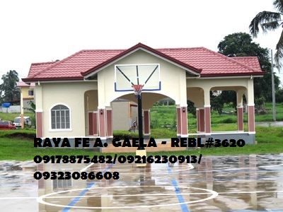 House and Lot for Sale in Silang Cavite Topaz Model